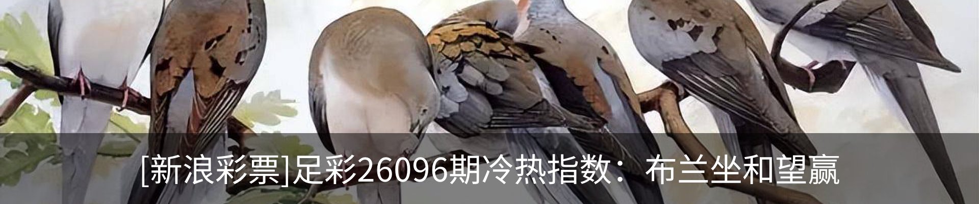 内页banner